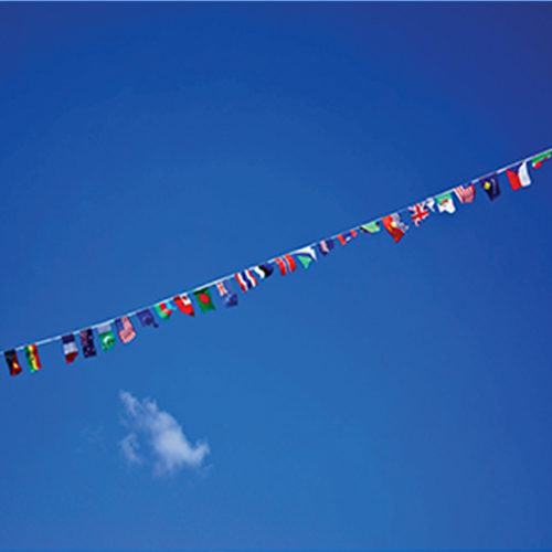 flags in the cloud
